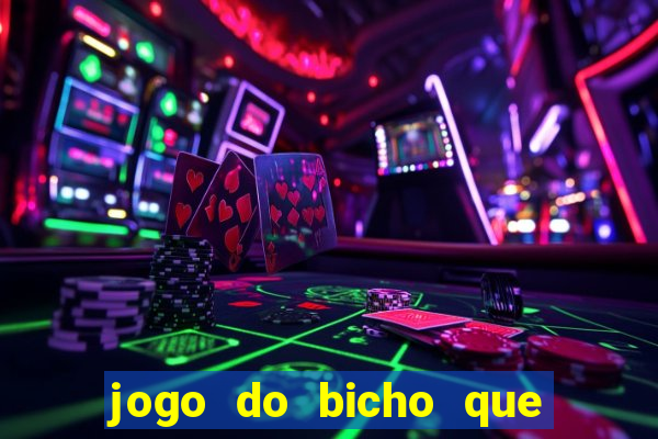 jogo do bicho que paga no pix