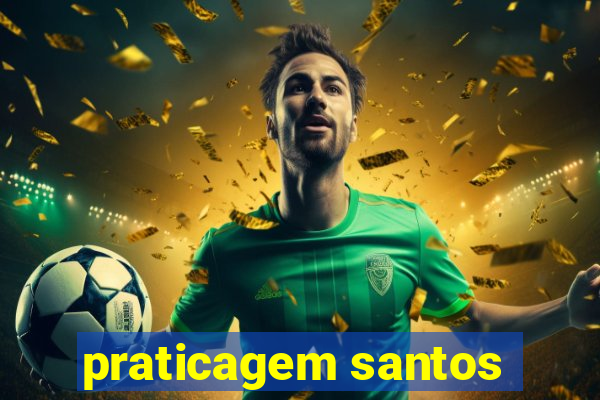 praticagem santos