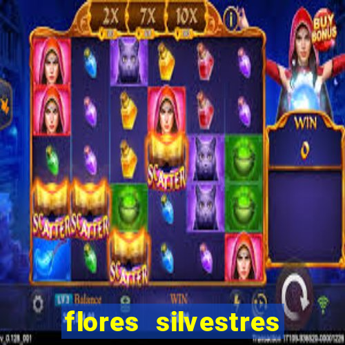 flores silvestres desbravadores desbravadores 25