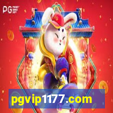 pgvip1177.com